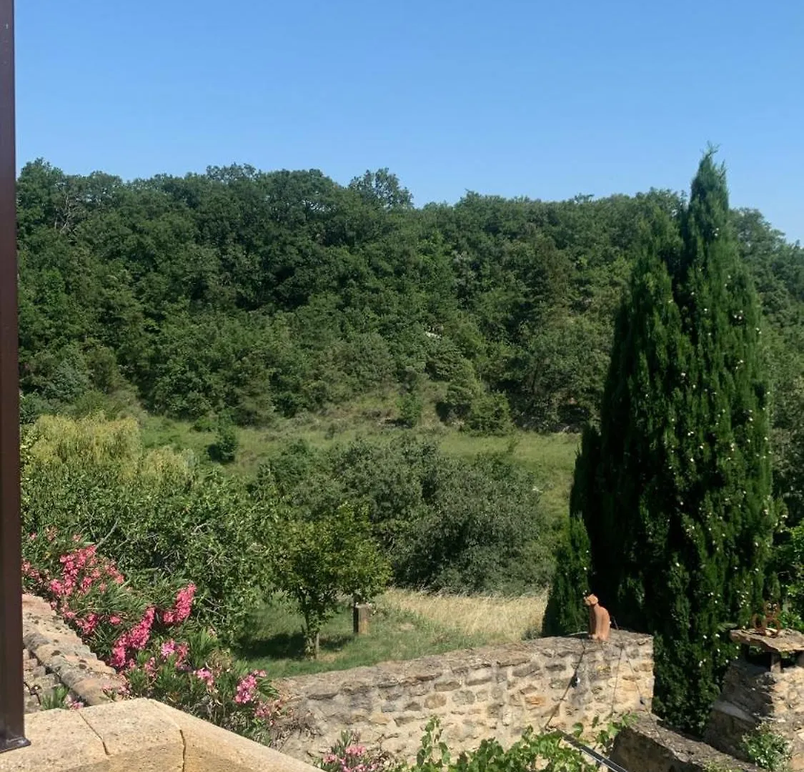 Les Citronniers Apartment Saint-Montan