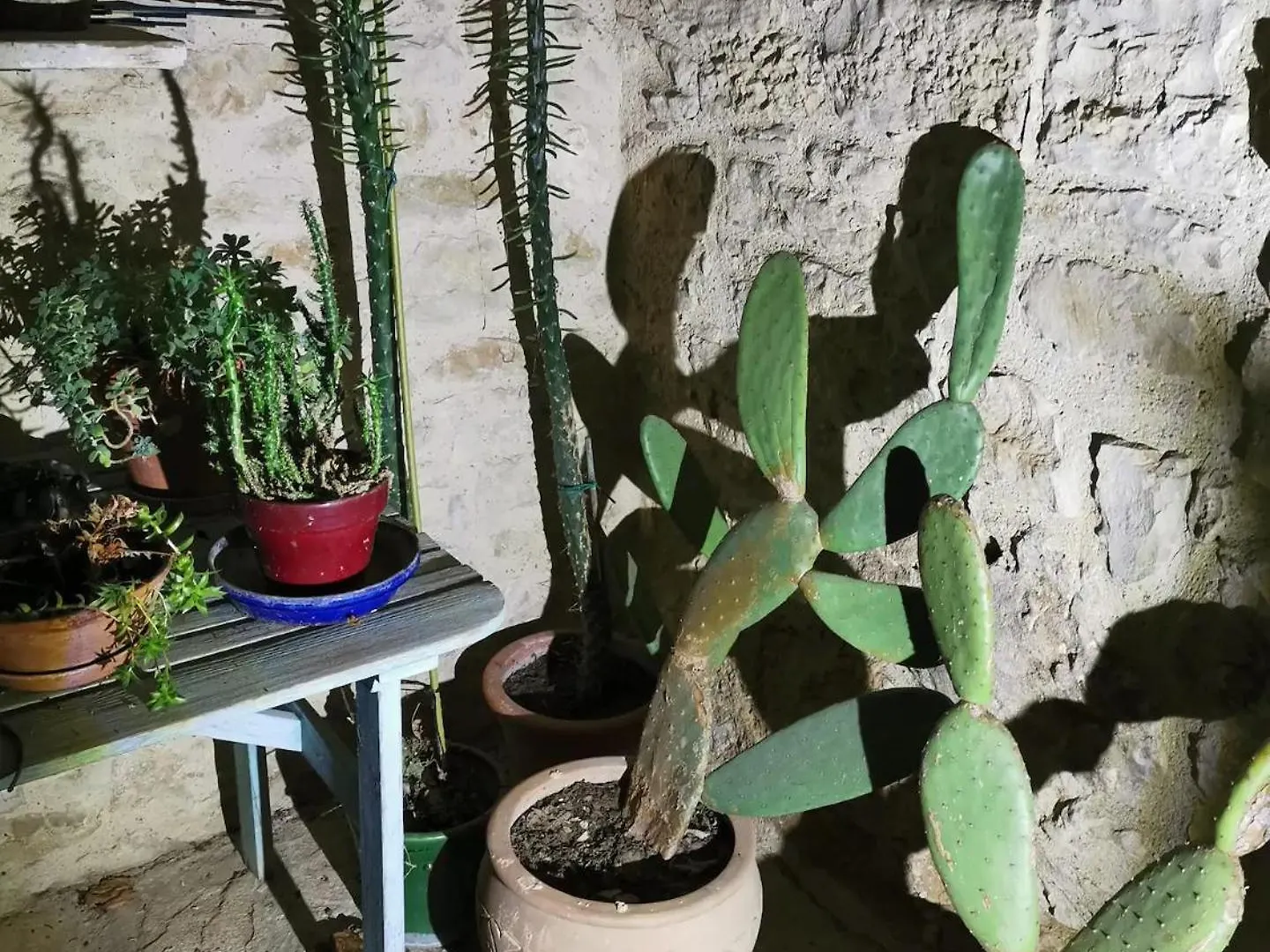 Les Citronniers Apartment Saint-Montan